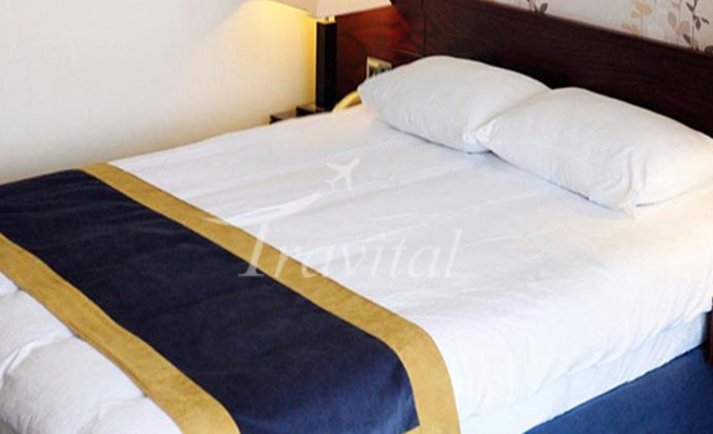 New Arg (Arg e Jadid) Hotel Bam 6
