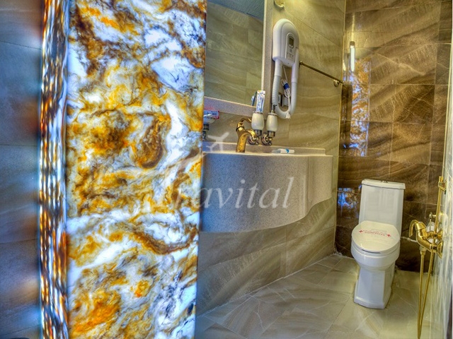 Aryo Barzan Hotel Shiraz 10
