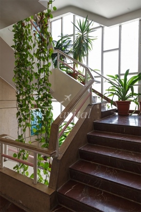 Shiraz Hotel Tehran 3